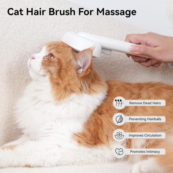 Cat Brush: Purrfect Grooming, Effortless Cleaning