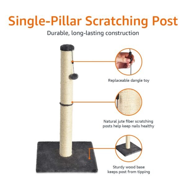 Cat Scratch Post with Toy
