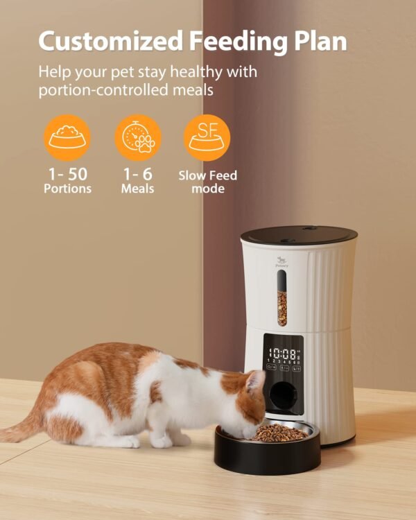 Timed Automatic Cat Feeders