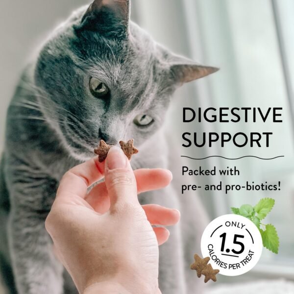 Pets Digestive Health Catnip