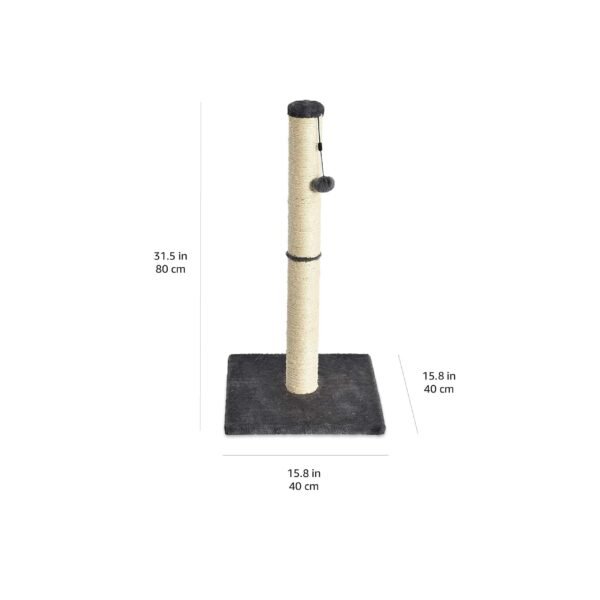 Cat Scratch Post with Toy